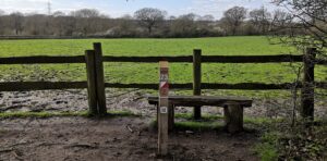 An example of a control (by a bench, beside a fenced field) from a permanent orienteering course.