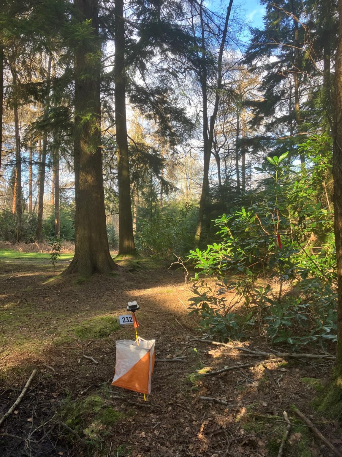 British Distance Post Thank you for coming to the British Middle Distance Championships! – MVOC